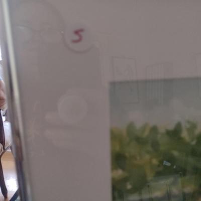 Sale Photo Thumbnail #1283: 'Secret Garden' Original Framed Watercolor by Nationally Recognized Artist Susan Anderson (#5).  Item is framed under plexiglass.