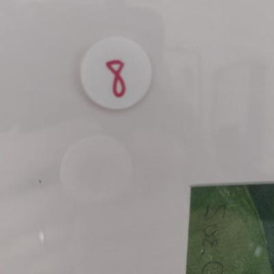 Sale Photo Thumbnail #1305: 'Bird of Paradise' Original Framed Watercolor by Nationally Recognized Artist Susan Anderson (#8).  Item is framed under plexiglass.