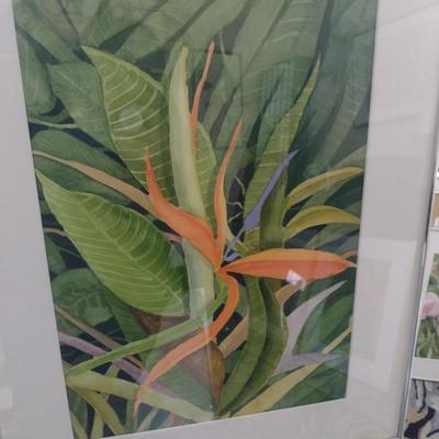 Sale Photo Thumbnail #1300: 'Bird of Paradise' Original Framed Watercolor by Nationally Recognized Artist Susan Anderson (#8).  Item is framed under plexiglass.