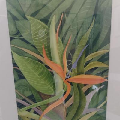 Sale Photo Thumbnail #1301: 'Bird of Paradise' Original Framed Watercolor by Nationally Recognized Artist Susan Anderson (#8).  Item is framed under plexiglass.