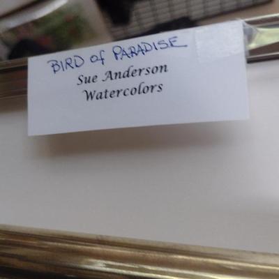 Sale Photo Thumbnail #1302: 'Bird of Paradise' Original Framed Watercolor by Nationally Recognized Artist Susan Anderson (#8).  Item is framed under plexiglass.