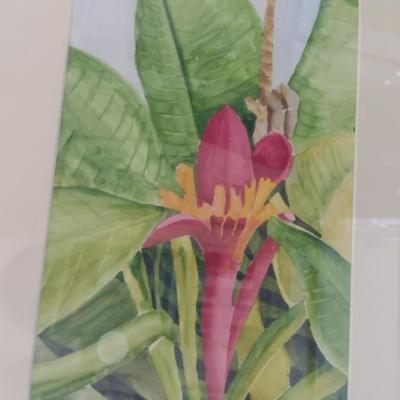 Sale Photo Thumbnail #1315: 'Banana' Original Framed Watercolor by Nationally Recognized Artist Susan Anderson (#10).  Item is framed under plexiglass.