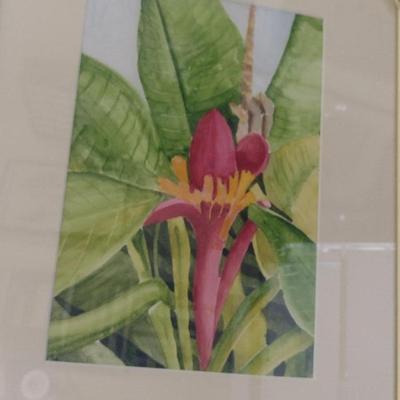 Sale Photo Thumbnail #1314: 'Banana' Original Framed Watercolor by Nationally Recognized Artist Susan Anderson (#10).  Item is framed under plexiglass.