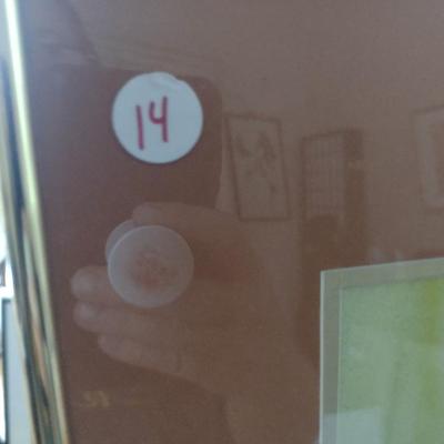 Sale Photo Thumbnail #1348: 'Magnolia Panel II' Original Framed Watercolor by Nationally Recognized Artist Susan Anderson (#14).  Item is framed under plexiglass.