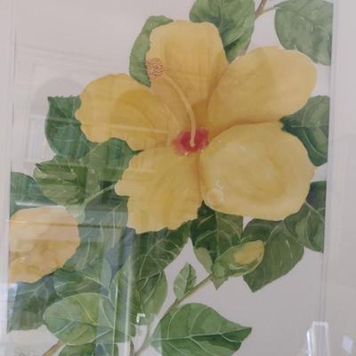 Sale Photo Thumbnail #1366: 'Yellow Hibiscus' Original Framed Watercolor by Nationally Recognized Artist Susan Anderson (#18).  Item is framed under plexiglass.