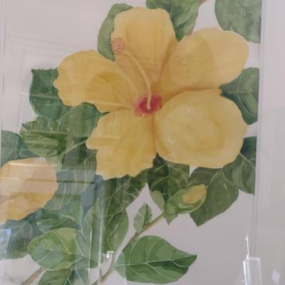 Sale Photo Thumbnail #1365: 'Yellow Hibiscus' Original Framed Watercolor by Nationally Recognized Artist Susan Anderson (#18).  Item is framed under plexiglass.