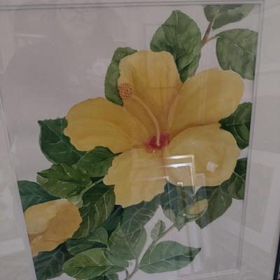 Sale Photo Thumbnail #1370: 'Yellow Hibiscus' Original Framed Watercolor by Nationally Recognized Artist Susan Anderson (#18).  Item is framed under plexiglass.