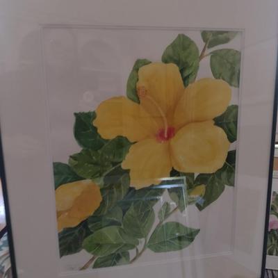 Sale Photo Thumbnail #1363: 'Yellow Hibiscus' Original Framed Watercolor by Nationally Recognized Artist Susan Anderson (#18).  Item is framed under plexiglass.