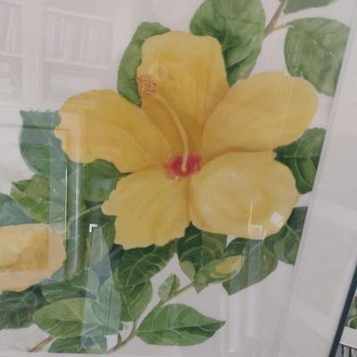 Sale Photo Thumbnail #1364: 'Yellow Hibiscus' Original Framed Watercolor by Nationally Recognized Artist Susan Anderson (#18).  Item is framed under plexiglass.