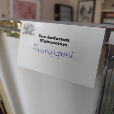 Sale Photo Thumbnail #1391: 'Frangipani' Original Framed Watercolor by Nationally Recognized Artist Susan Anderson (#21).  Item is framed under plexiglass.