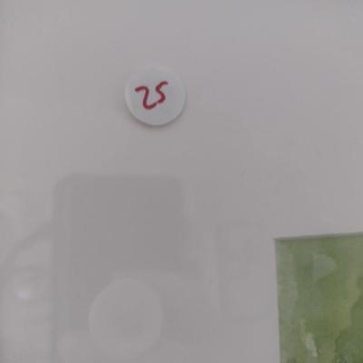 Sale Photo Thumbnail #1420: 'Mums & Roses' Original Framed Watercolor by Nationally Recognized Artist Susan Anderson (#25).  Item is framed under plexiglass.