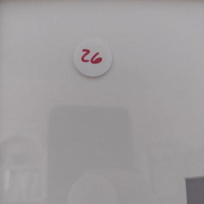 Sale Photo Thumbnail #1428: 'Windy Day' Original Framed Watercolor by Nationally Recognized Artist Susan Anderson (#26).  Item is framed under plexiglass.