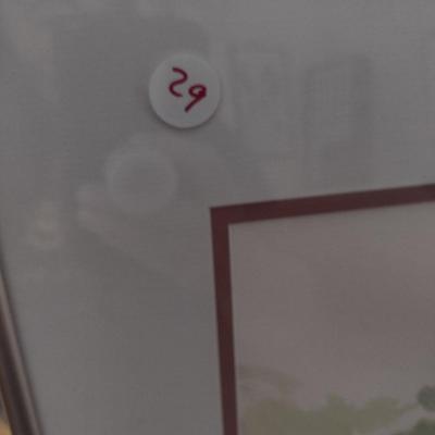 Sale Photo Thumbnail #1461: 'Abundance' Original Framed Watercolor by Nationally Recognized Artist Susan Anderson (#29).  Item is framed under plexiglass.