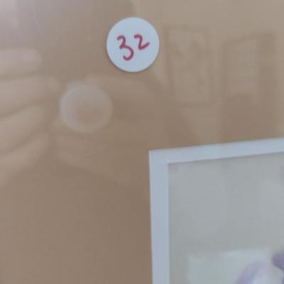 Sale Photo Thumbnail #1483: 'Tulip Print #2' Framed Print by Nationally Recognized Artist Susan Anderson (#32).  Item is framed under plexiglass.