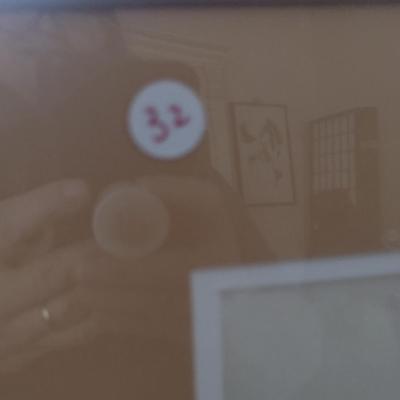 Sale Photo Thumbnail #1482: 'Tulip Print #2' Framed Print by Nationally Recognized Artist Susan Anderson (#32).  Item is framed under plexiglass.