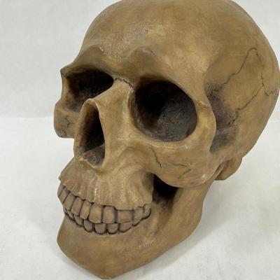 Human Skull Replica Coin Bank