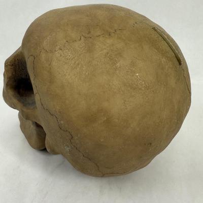 Human Skull Replica Coin Bank