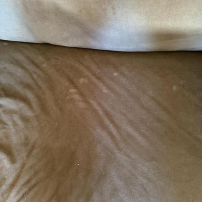 Havertys Love Seat Sleeper