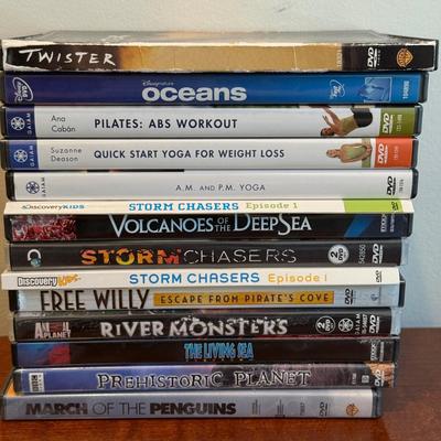 LOT 258: RCA Portable DVD Player w/ Misc DVDs