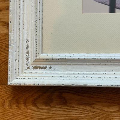 LOT 266D: Trio of Framed Plant Prints