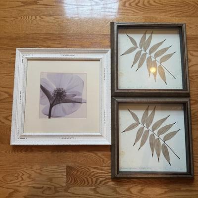 LOT 266D: Trio of Framed Plant Prints