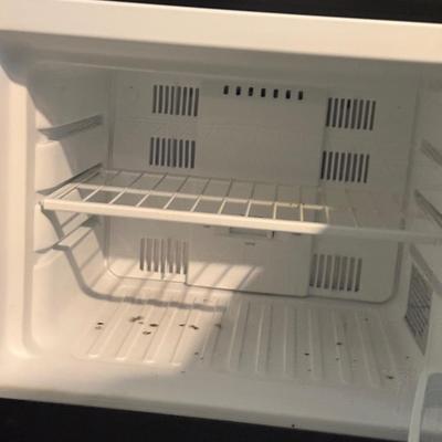 LOT 275B: Frigidaire Mini Fridge