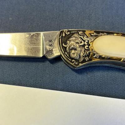 Collectable Buffalo Knife