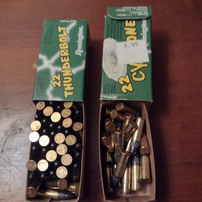 Assorted 22 Caliber Ammunition