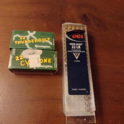 Assorted 22 Caliber Ammunition
