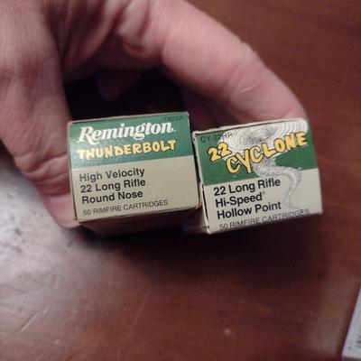 Assorted 22 Caliber Ammunition