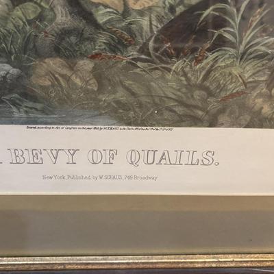 The Bevy of Quail