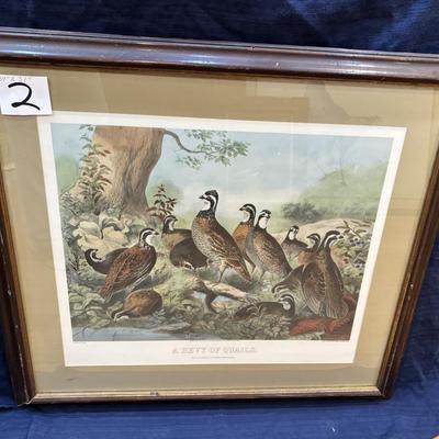The Bevy of Quail