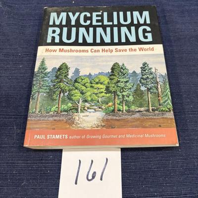 How Mushrooms Can Help Save the World