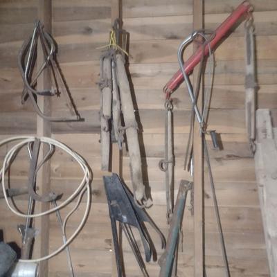 Collection Vintage of Single Trees and Other Choice A
