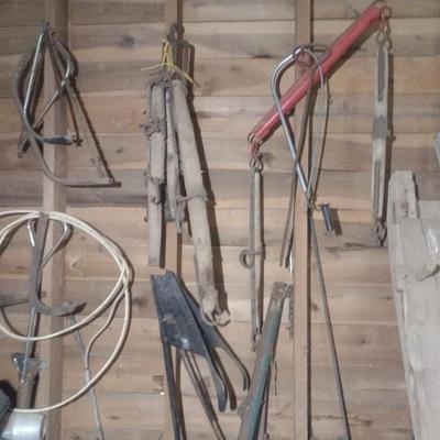 Collection Vintage of Single Trees and Other Choice A