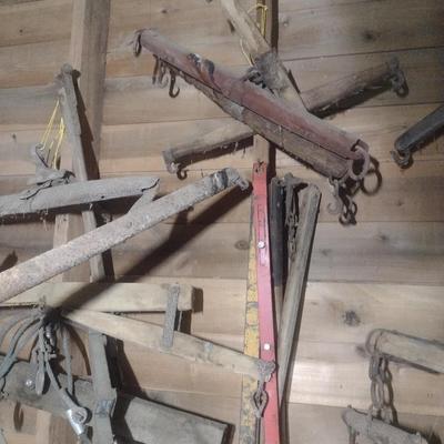 Collection Vintage of Single Trees and Other Choice B