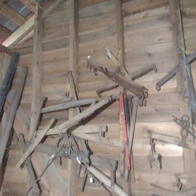 Collection Vintage of Single Trees and Other Choice B