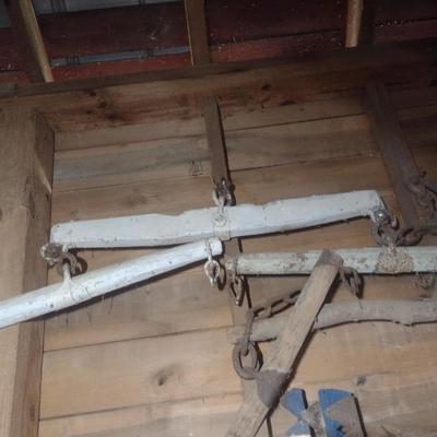 Collection Vintage of Single Trees and Other Choice C
