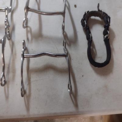 Collection of Horse Bits