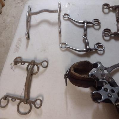 Collection of Horse Bits