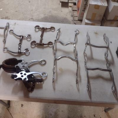 Collection of Horse Bits