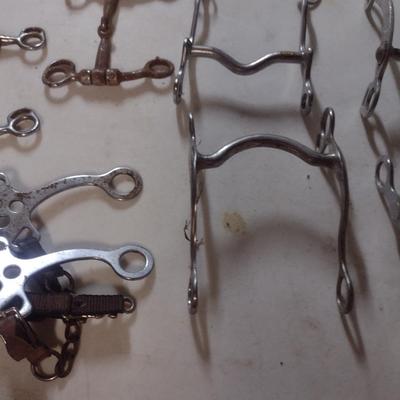Collection of Horse Bits
