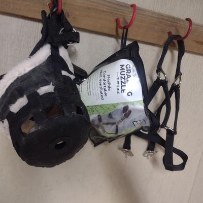 Collection of Horse Muzzles