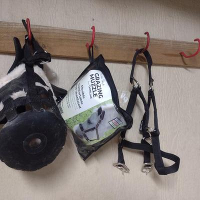 Collection of Horse Muzzles