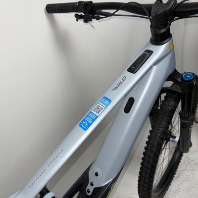 Orbea Wild M10