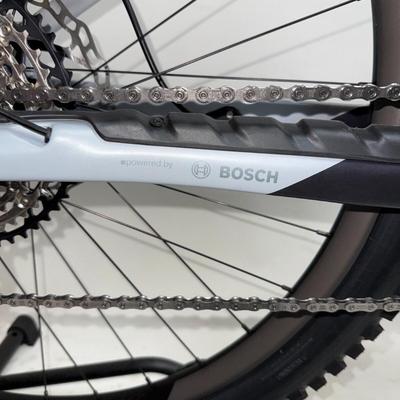 Orbea Wild M10