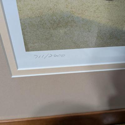 Charles Peterson's "Family Tree"