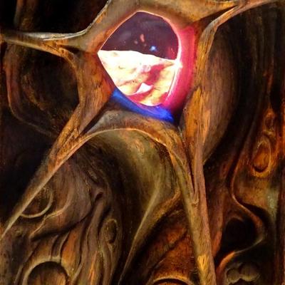 1171 Artisan Rosewood Shadow Box "Torrid" by Stephen Smith Daniell.
