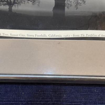 Ansel Adam’s Oak Tree Sunset, California 1962