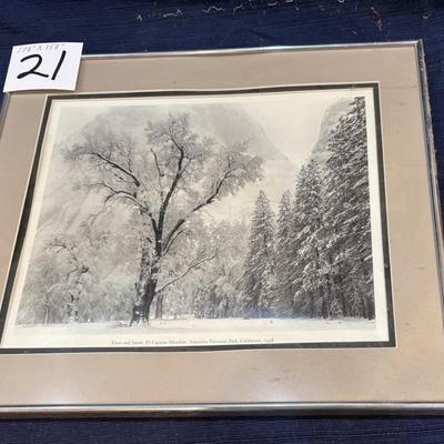 Ansel Adam”s Trees and Snow